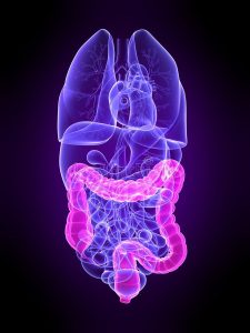 Mitigating the Oncogenic Roles of miR‑629‑5p and miR‑660‑5p Through Direct Binding by Two Potential Drug Targets for Colorectal Cancer Prevention